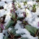 완산-165 이미지