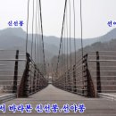 금산산림문화타운 이미지