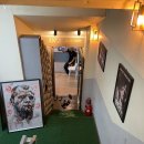 조남진 짐 | 교대/강남 - 조남진짐 킥복싱, 주짓수, mma