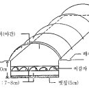 감자 재배 기술 - 서산 이미지