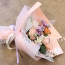 사파동209 이미지