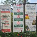 (주0미디어랜드 | 아산 피나클랜드 봄꽃 상황 실시간 후기 (튤립 개화율, 봄꽃 개화율, 적당한 방문시기 추천)