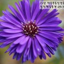 태인세무회계사무소 이미지