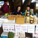 시골살이마을 이미지