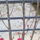 다다펜션 이미지