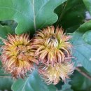 상2리 마을회관 이미지