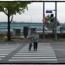 대전 근교 산행 (우성이산~화봉산)