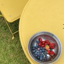 선제리의 아침 이미지