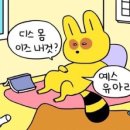 웃으면 돼지 이미지