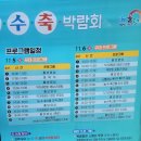 북익산농협용안지점 | 애월읍 농수축 박람회 후기.체험프로그램 및 이벤트 진행.새별오름.제주 축제 리뷰