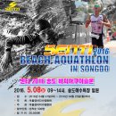 2016 SENTI Beach Aquathlon in Songdo(5.8) 이미지