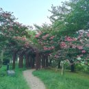 GS25안산호수점 이미지