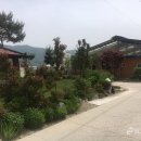 이천농장 이미지