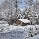 숲속오두막 이미지