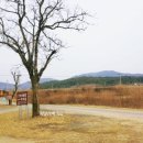 선덕여왕릉 화장실 네이버블로그
