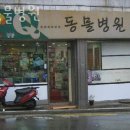 큐동물병원 이미지