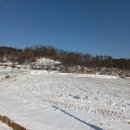 토끼사냥 이미지