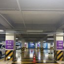 경남세탁 | 2025 경남 캠핑박람회 후기｜창원컨벤션센터 캠페어 경남 데이트코스