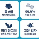 안녕,고양이 이미지