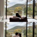 중명 정원 이미지