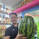 경희대선경체육관 이미지