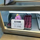 춘천 감자밭 | 춘천카페 | 내돈내산 | 솔직후기