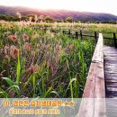 광주도자기엑스포장 이미지