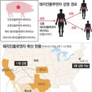 신종플루 대유행 공포 이미지