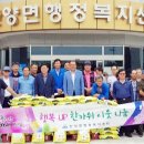 안양면 행정복지센터 이미지