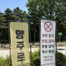 양주르 글램핑 키즈캠핑장 리얼후기 기대가 크면 실망도 큰법 ...