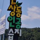 신상동 인공습지 이미지