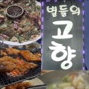 한 잔 하고싶을때 대전 노포 술집 맛집 탄방동 별들의고향