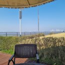 배곧한울공원 | [시흥 가볼만한곳] 배곧 한울공원ㅣ주차장 요금/무료 꿀팁! 봄날 자전거 산책 코스 추천