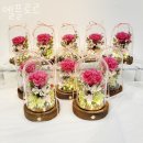 엘플로르