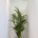 별빛농원 이미지