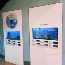 달성습지 생태 학습관 | 대구 달성군 실내 아이와 가기 좋은 곳 [달성습지 생태학습관]