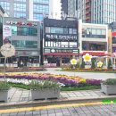 구남로 네이버블로그