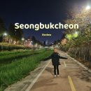 1363. 보문4교 인근 | 성북천 산책, 자전거 도로 밤데이트 (+ 벚꽃 애견동반)