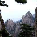 황산주