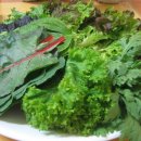 황토우렁이마을 이미지