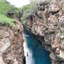 지구촌 수영장 이미지