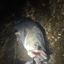 시커먼스 이미지