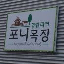 미원목장 네이버블로그