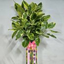 충무스크린골프 이미지