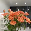 엠에스스튜디오 이미지