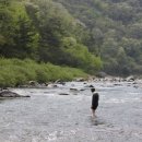 산수벨리펜션 이미지