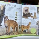 물친구 이미지