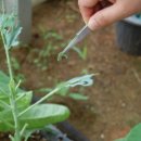 청주YWCA어린이집 이미지