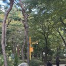 문정근린공영주차장 | 영등포 당산근린공원 공영주차장 가격 및 이용후기