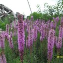 거창농장 이미지